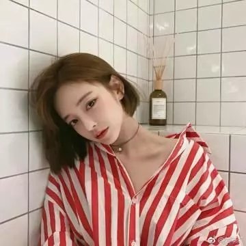 屋顶上的轻骑兵